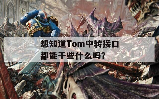 想知道Tom中转接口都能干些什么吗？