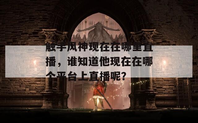 触手风神现在在哪里直播，谁知道他现在在哪个平台上直播呢？  第1张