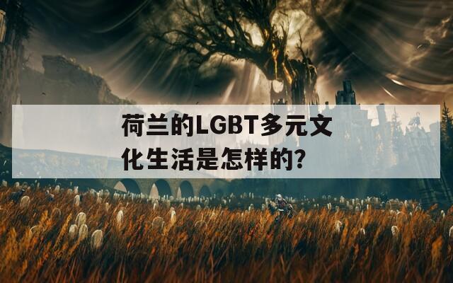 荷兰的LGBT多元文化生活是怎样的？  第1张