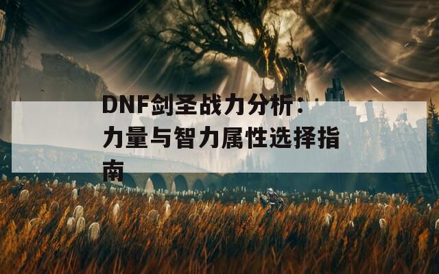 DNF剑圣战力分析：力量与智力属性选择指南  第1张