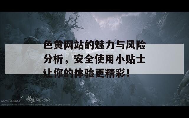 色黄网站的魅力与风险分析，安全使用小贴士让你的体验更精彩！  第1张