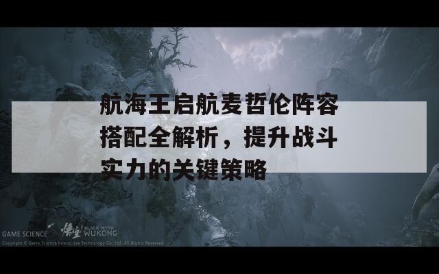 航海王启航麦哲伦阵容搭配全解析，提升战斗实力的关键策略