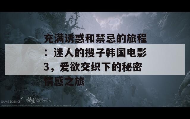 充满诱惑和禁忌的旅程：迷人的搜子韩国电影3，爱欲交织下的秘密情感之旅