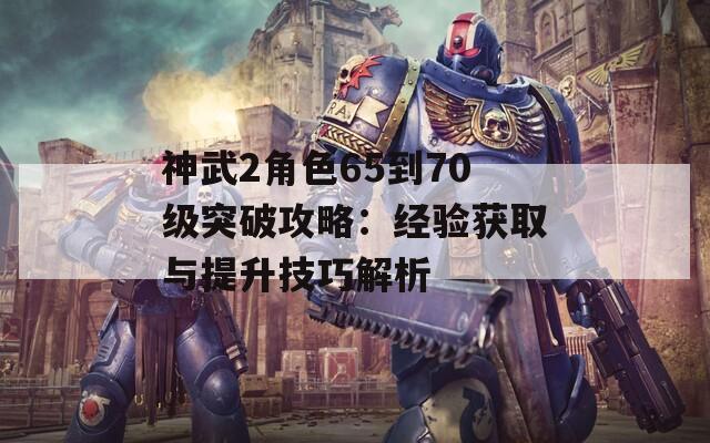 神武2角色65到70级突破攻略：经验获取与提升技巧解析  第1张