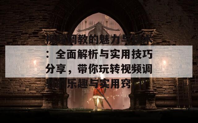 视频调教的魅力与技术：全面解析与实用技巧分享，带你玩转视频调教的乐趣与实用窍门！  第1张