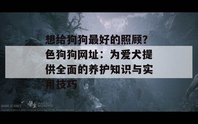 想给狗狗最好的照顾？色狗狗网址：为爱犬提供全面的养护知识与实用技巧  第1张