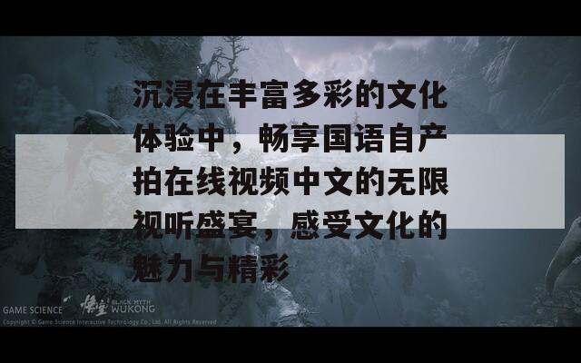 沉浸在丰富多彩的文化体验中，畅享国语自产拍在线视频中文的无限视听盛宴，感受文化的魅力与精彩  第1张