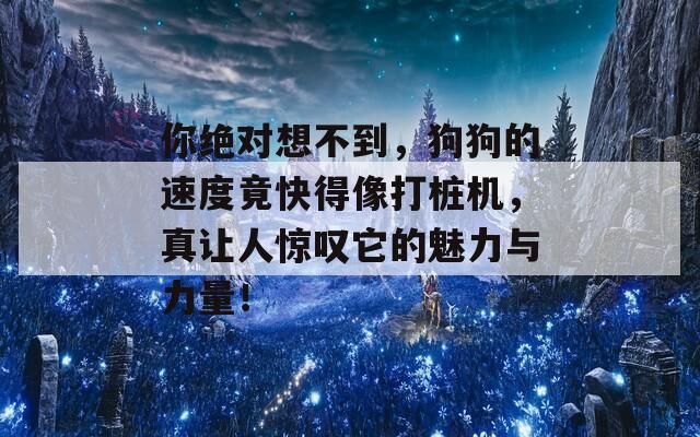 你绝对想不到，狗狗的速度竟快得像打桩机，真让人惊叹它的魅力与力量！  第1张