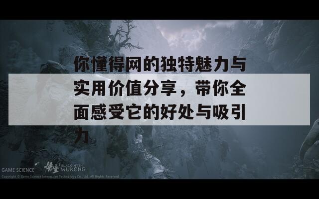 你懂得网的独特魅力与实用价值分享，带你全面感受它的好处与吸引力  第1张