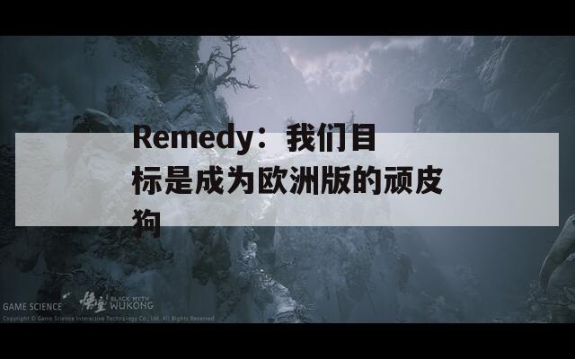 Remedy：我们目标是成为欧洲版的顽皮狗  第1张