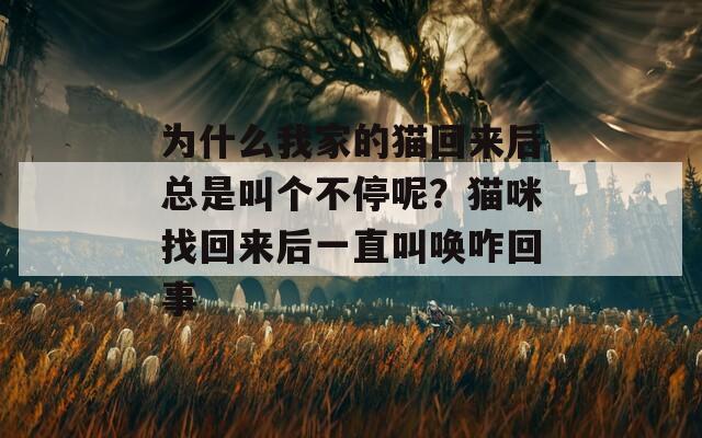 为什么我家的猫回来后总是叫个不停呢？猫咪找回来后一直叫唤咋回事  第1张