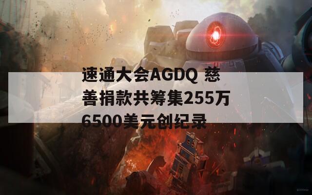 速通大会AGDQ 慈善捐款共筹集255万6500美元创纪录