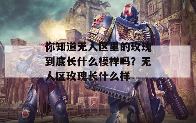 你知道无人区里的玫瑰到底长什么模样吗？无人区玫瑰长什么样