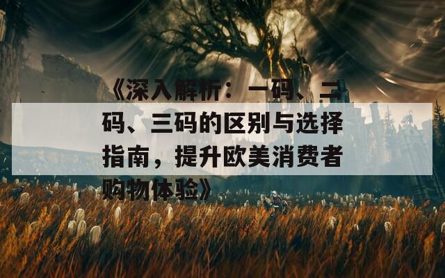 《深入解析：一码、二码、三码的区别与选择指南，提升欧美消费者购物体验》