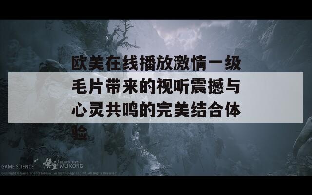 欧美在线播放激情一级毛片带来的视听震撼与心灵共鸣的完美结合体验