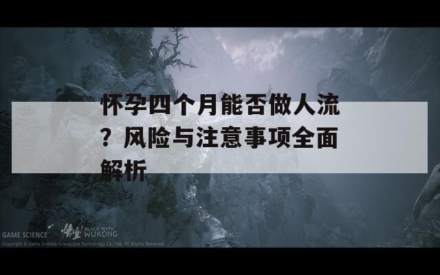 怀孕四个月能否做人流？风险与注意事项全面解析